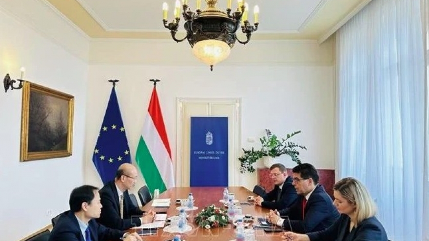 Vietnam – Hungary comprehensive partnership yields fruitful results