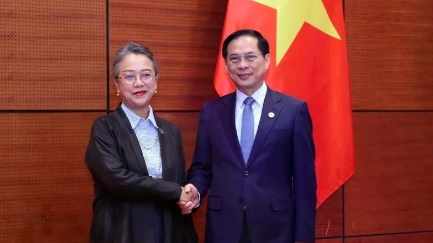 Deputy PM meets UN Under-Secretary-General in Hanoi