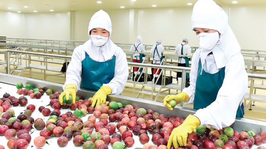 Four more Vietnamese agricultural products exported officially to China
