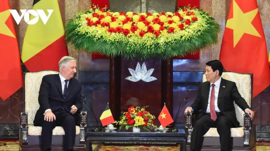Vietnam keen to boost all-round ties with Belgium