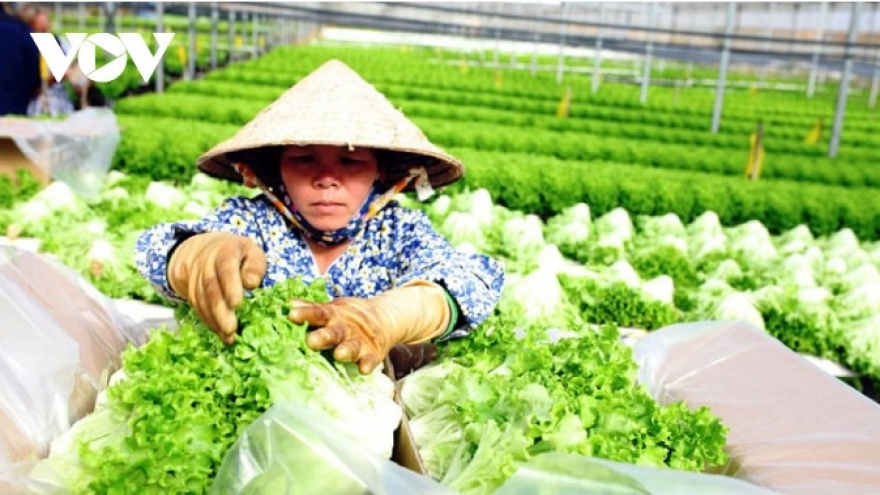 Greater push needed to expand Vietnam’s farm exports in key markets
