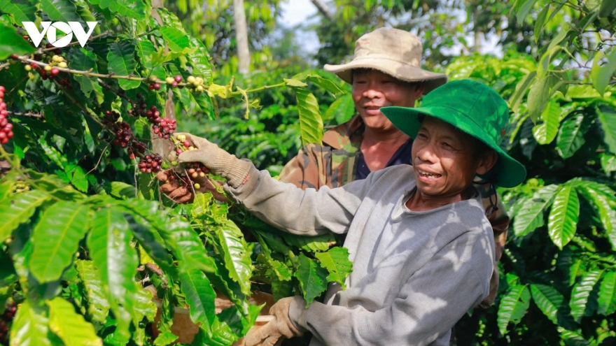 Vietnam proposes United States exempt certain agricultural products from taxation