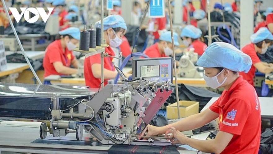 Vitas: Vietnam's textile industry is not in full competition with US