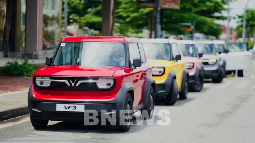 VinFast posts 2024 surge, eyes double deliveries in 2025