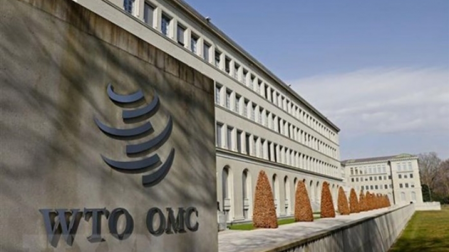 Vietnam shares legal framework updates on rules of origin at WTO session