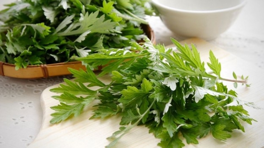 Ngải cứu được ví như "thuốc bổ" nhưng những người này chớ dại ăn kẻo tự hại mình
