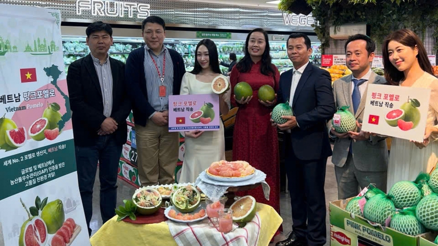 Bưởi xuất khẩu sang Hàn Quốc trung bình đạt 2,4 USD/kg