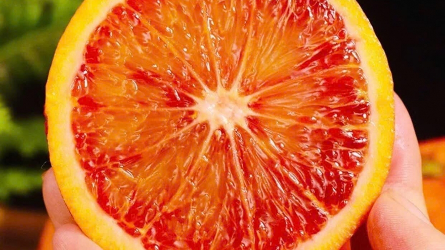 Cam mật socola “sốt” trên chợ mạng, giá rẻ không ngờ