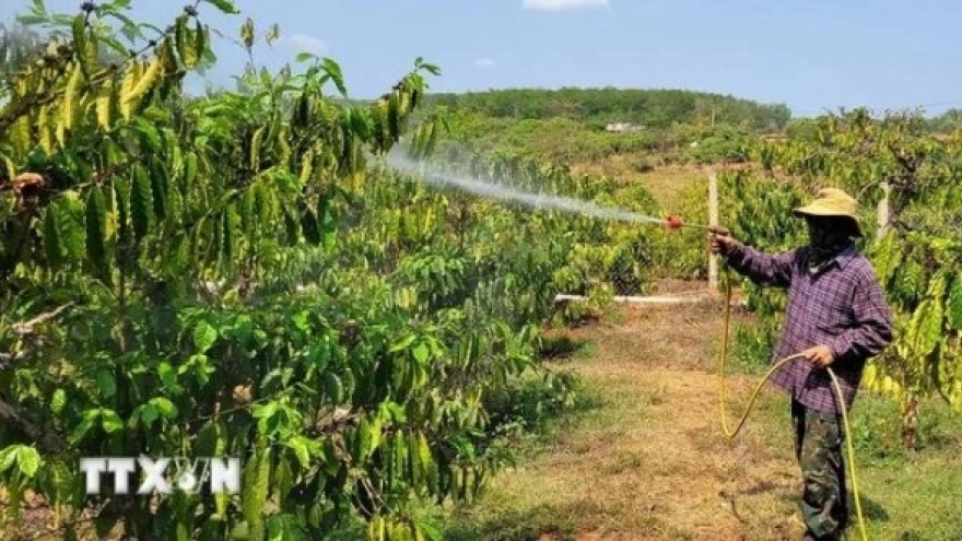 Cambodian villages in Central Highlands-symbol of Vietnam-Cambodia friendship