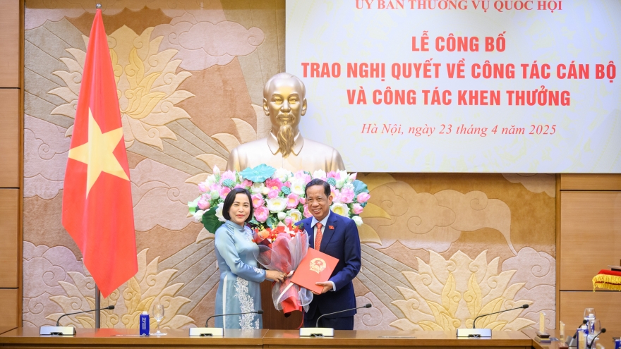 Phó Chủ nhiệm Ủy ban Văn hóa và Xã hội Đặng Thuần Phong nghỉ hưu trước tuổi