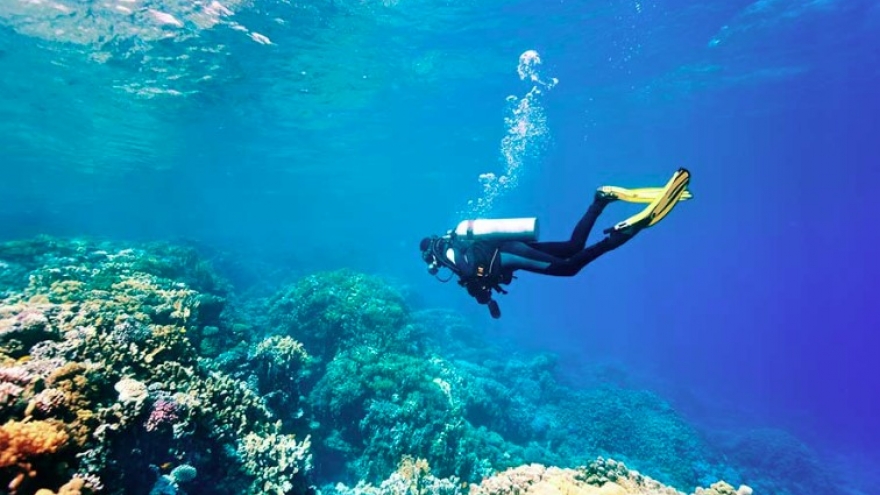 Vietnam among top scuba diving destinations favored by Asian travelers