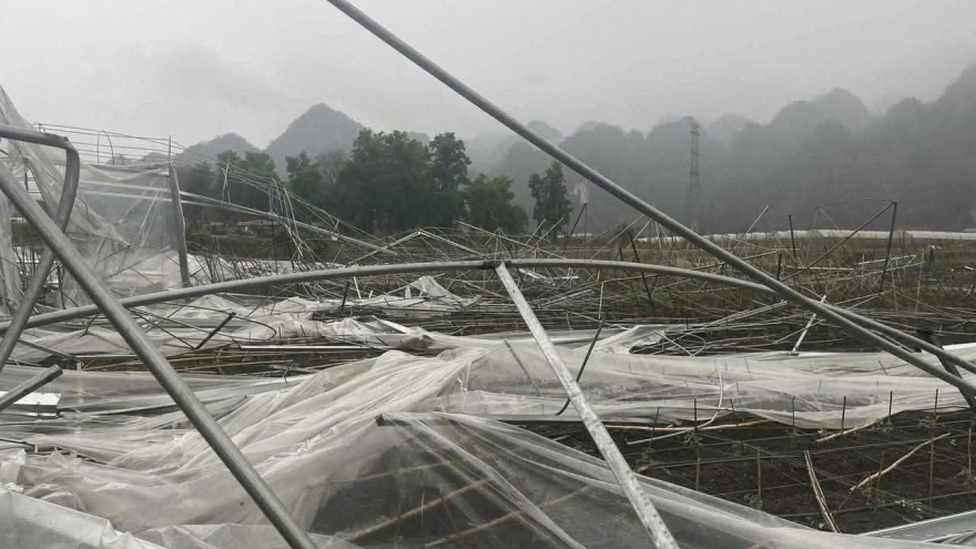 Mưa đá, dông lốc gây ảnh hưởng đến sản xuất nông nghiệp ở Sơn La