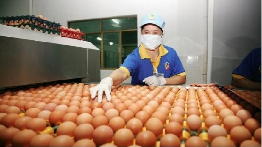 Singapore opens its market to poultry meat and eggs from Vietnam