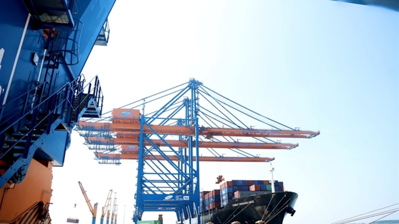 US farm produce to Vietnam will rise with import tariff cut