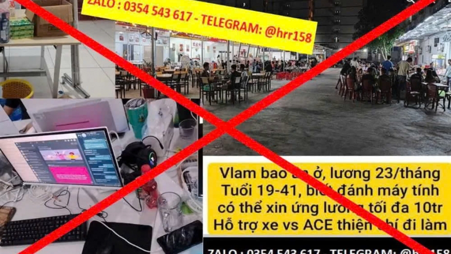 Triệt phá đường dây lừa đảo “việc nhẹ lương cao” tại Hải Phòng