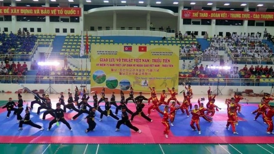 Vietnam–DPRK martial arts exchange programme marks 75 years of diplomatic ties