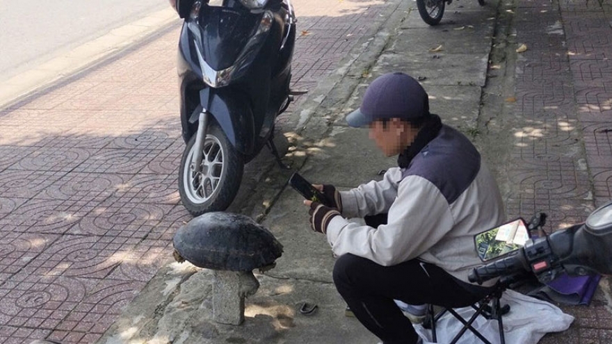 Bán rùa trên đường phố là vi phạm pháp luật