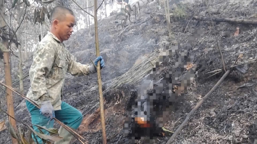 Một phụ nữ tử vong do cháy rừng ở Bắc Kạn