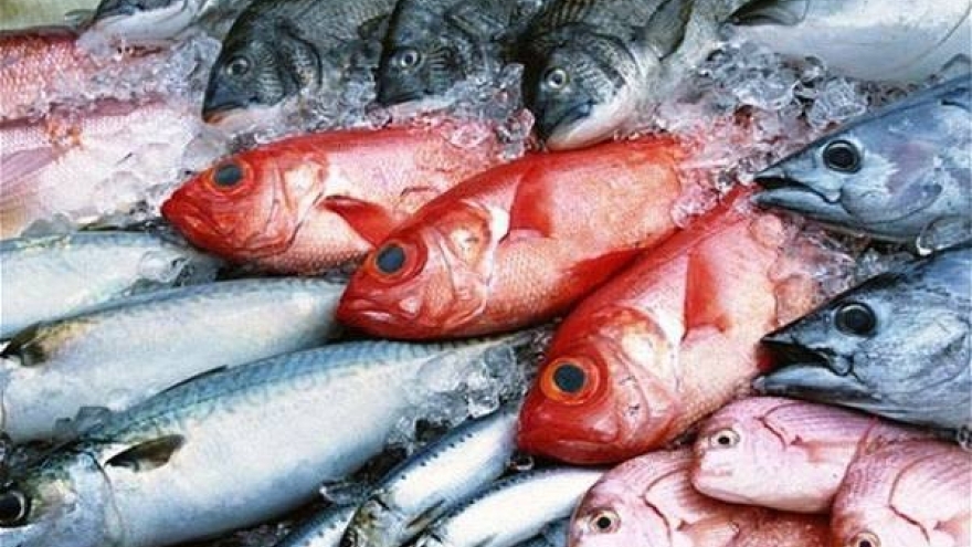 Khi nào cá biển gây hại cho sức khỏe?