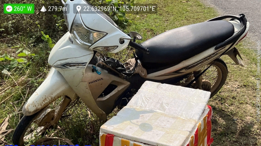 Bắt giữ đối tượng vận chuyển trái phép 9kg rắn hổ mang