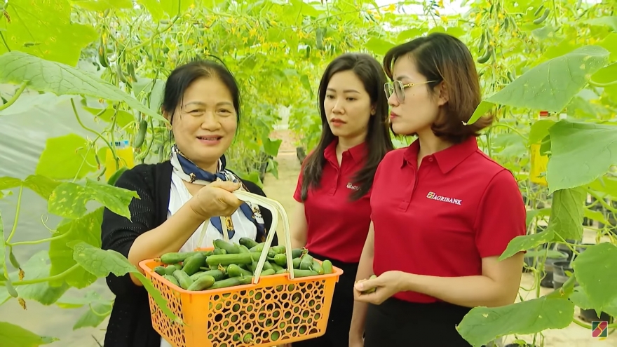 Tiếp sức sản xuất, đồng hành cùng triệu hộ kinh doanh