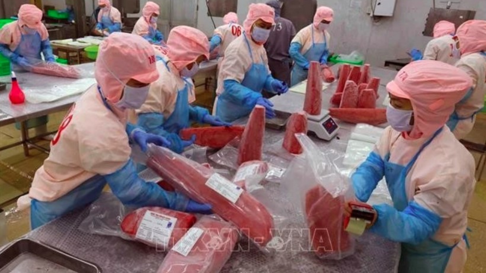Vietnam’s seafood exports surge to US$2.45 billion in Q1