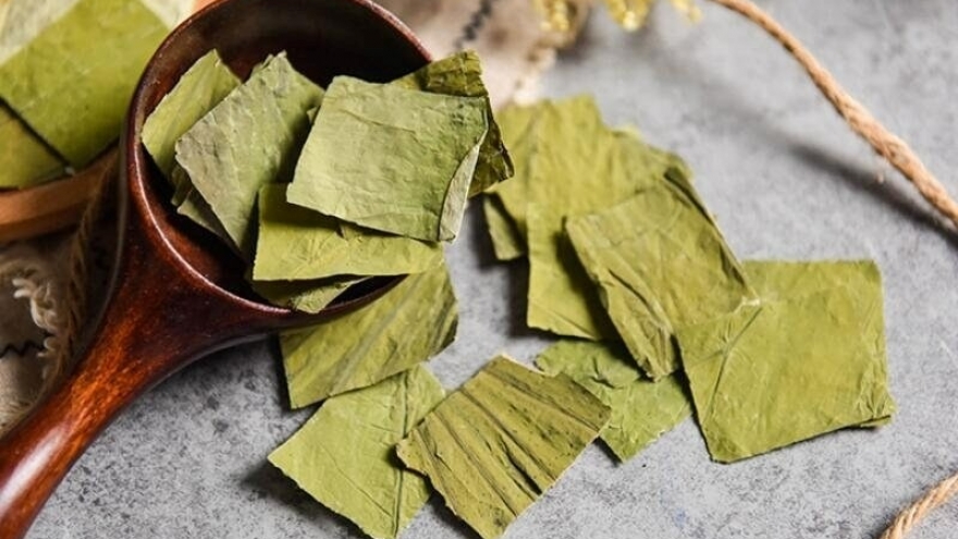Loại lá to tròn, phơi khô hóa "thuốc quý đa năng", Việt Nam lại có quanh năm