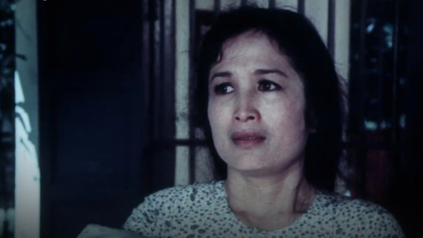 Iconic war films in Vietnam to be screened for free at DANAFF III