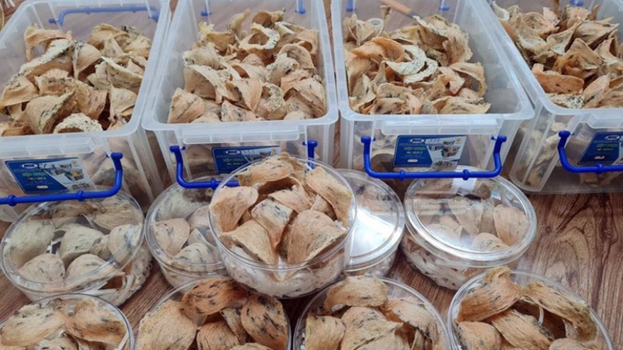 Cơ hội xuất khẩu hàng tỉ USD mặt hàng yến chính ngạch sang Trung Quốc