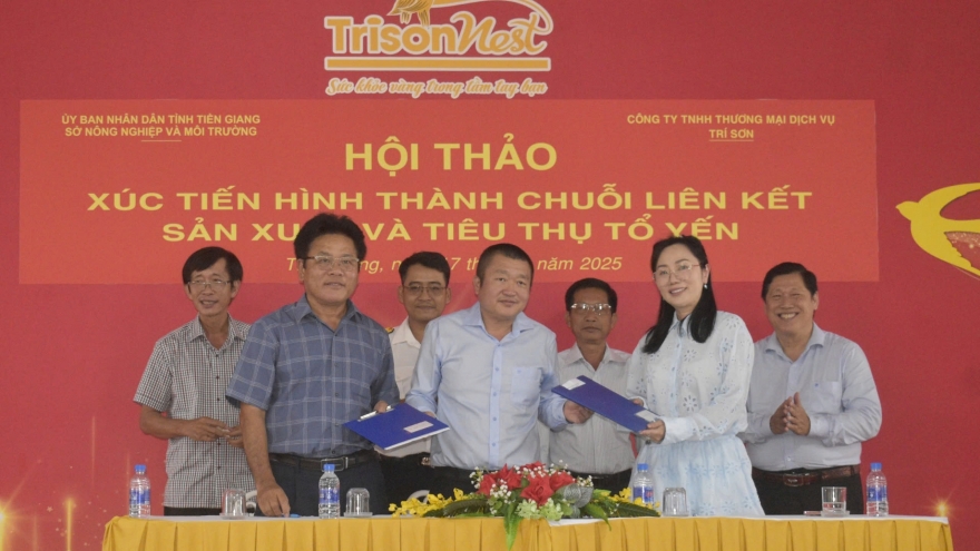 Người nuôi lo "yến tặc" hoành hành, nguy cơ sụt giảm tổ yến xuất khẩu
