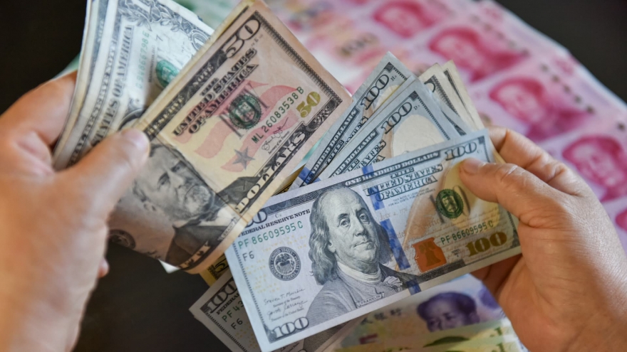 Tỷ giá USD hôm nay 4/6: Tỷ giá trung tâm bật tăng lên mốc 25.004 đồng/USD