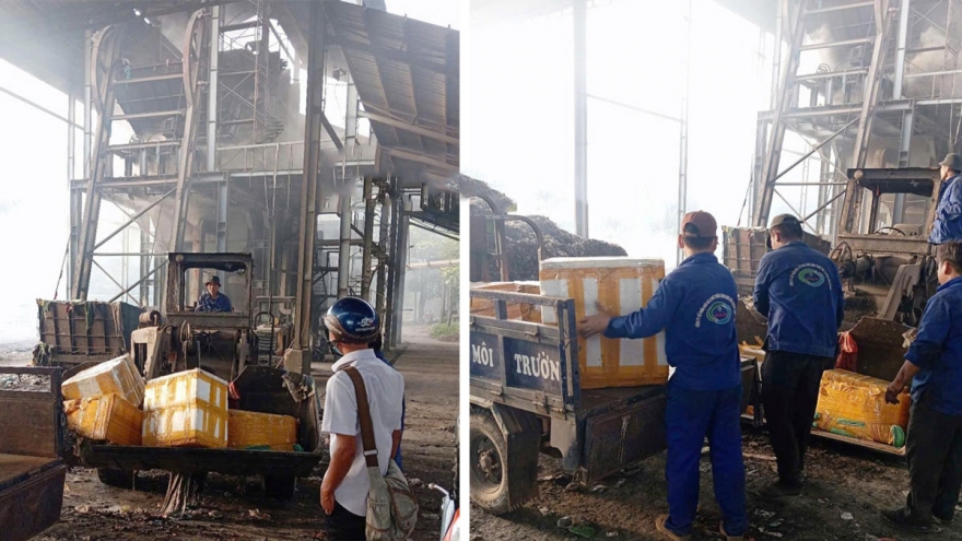 Tiêu hủy khẩn cấp gần 800kg thịt heo nhiễm dịch tả lợn châu Phi ở Bình Phước
