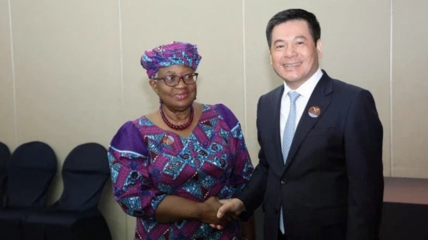 Vietnam signals readiness to support WTO reform talks