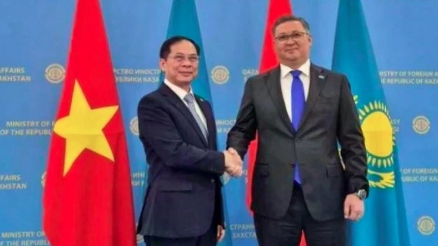 Vietnamese, Kazakh Deputy PMs seek ways to promote bilateral ties