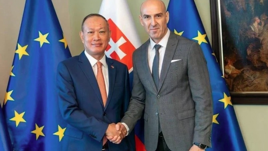 Vietnam, Slovakia promote cooperation in crime combat