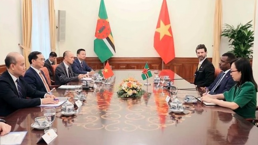 Vietnam keen to boost cooperation with Dominica: Deputy PM