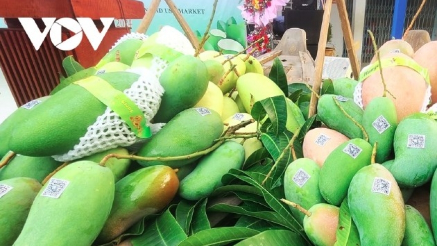 Fruit and vegetable exports plunge amid China’s stricter requirements