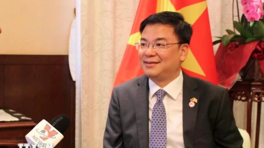 Vietnam reaffirms commitment to contribute to shaping future of Asia: Ambassador