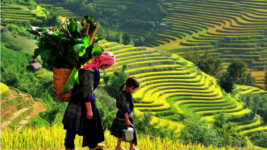 Góp ý về Tiêu chí phân định vùng đồng bào DTTS và miền núi giai đoạn 2026-2030