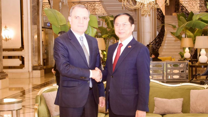 Phó Thủ tướng Bùi Thanh Sơn hội kiến với Bộ trưởng Ngoại giao Azerbaijan Jeyhun