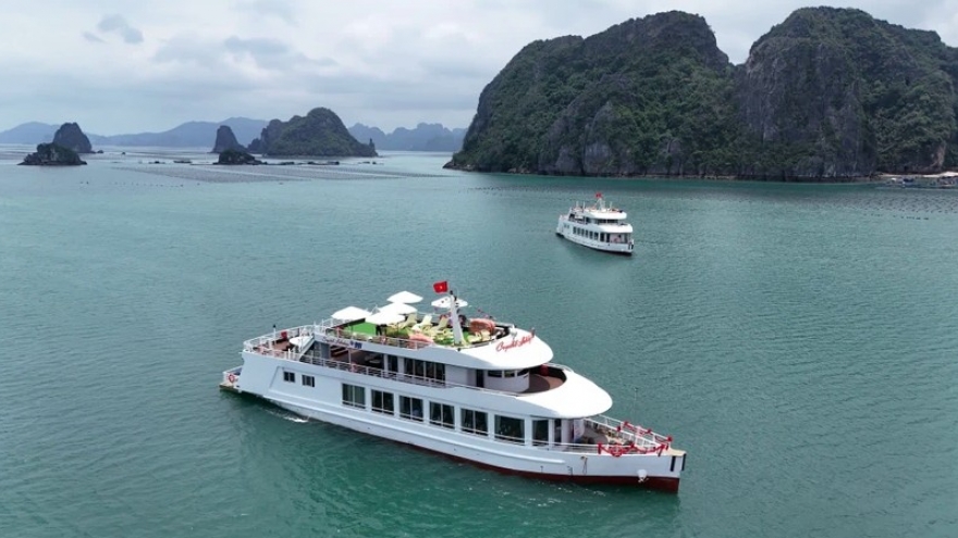 Luxury cruises set sail in Bai Tu Long Bay