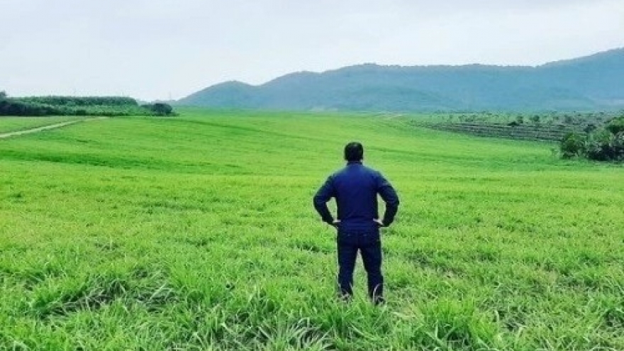 Muốn báo hiếu bố mẹ, tôi muốn đưa cả gia đình về quê ổn định