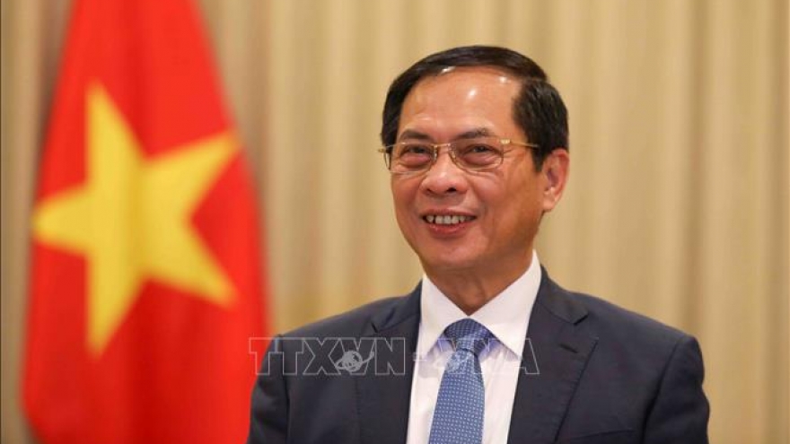 Bộ trưởng Bùi Thanh Sơn trả lời báo chí Nga về chính sách đối ngoại của Việt Nam