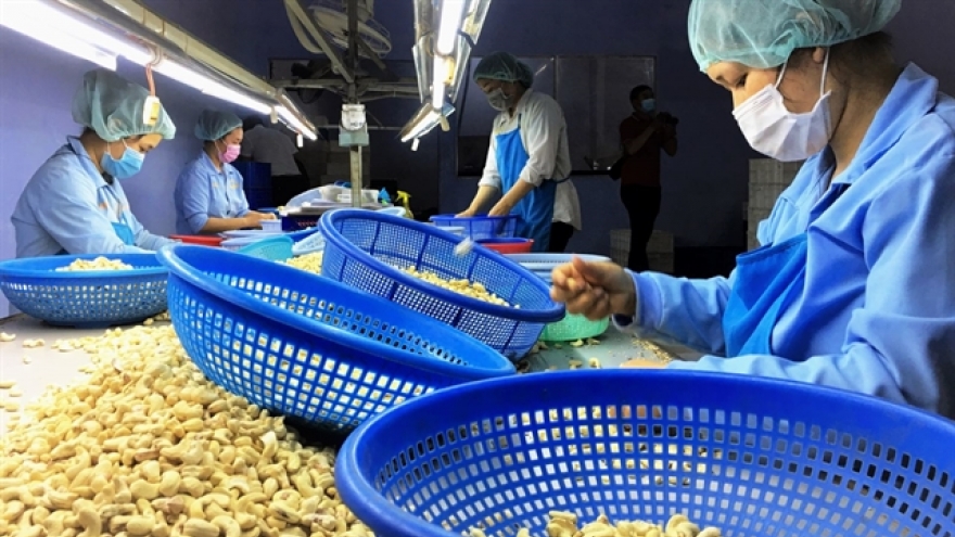 Vietnam exports 195,600 tonnes of cashew nuts in four months