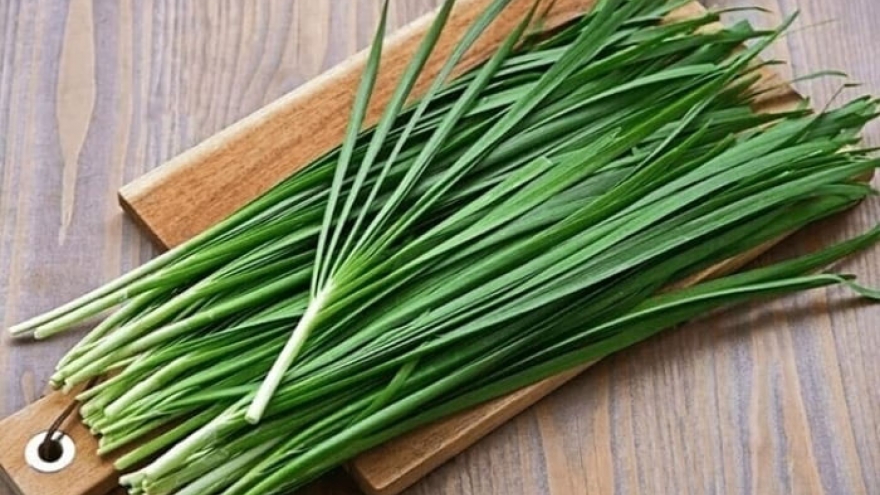 Bài thuốc từ cây hẹ