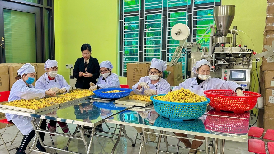 Doanh nghiệp nhỏ trông chờ "cú hích" từ Nghị quyết 68