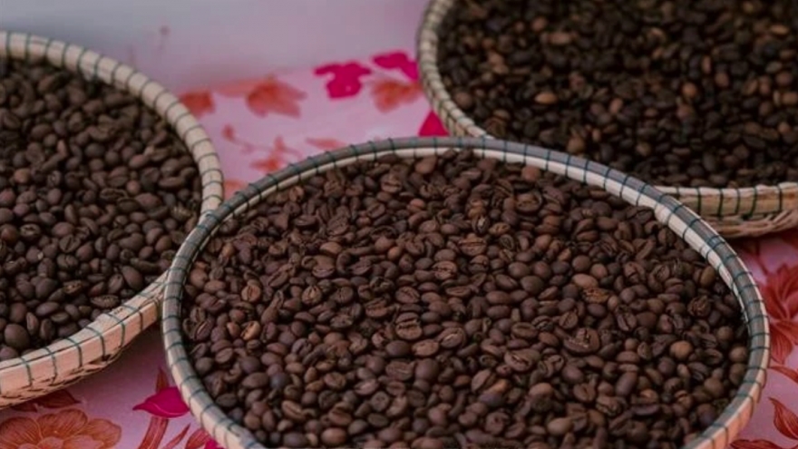 Quality, branding, sustainability essential for Vietnamese coffee to go global