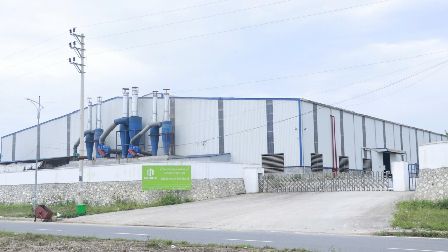 Không có giấy phép môi trường, công ty sản xuất gỗ ở Yên Bái bị phạt 320 triệu đồng