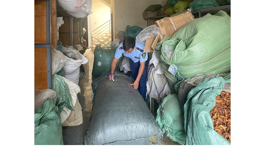 Đắk Lắk phát hiện hơn 500 kilogam dược liệu không rõ nguồn gốc, xuất xứ