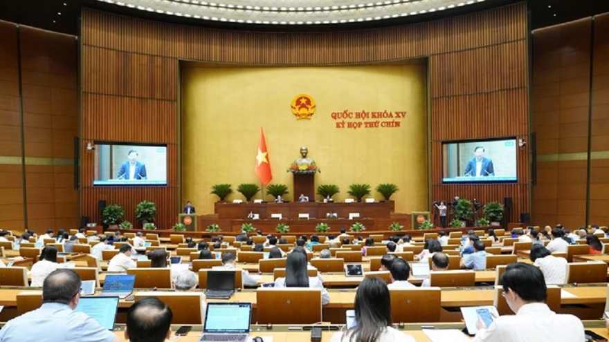Nhà nước chỉ nên đầu tư vào những lĩnh vực DN tư nhân không làm được?